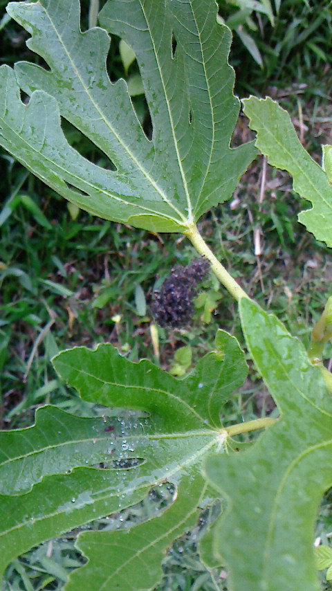 f0215179_8532861.jpg