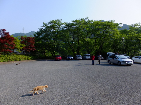 a0043982_5481713.jpg