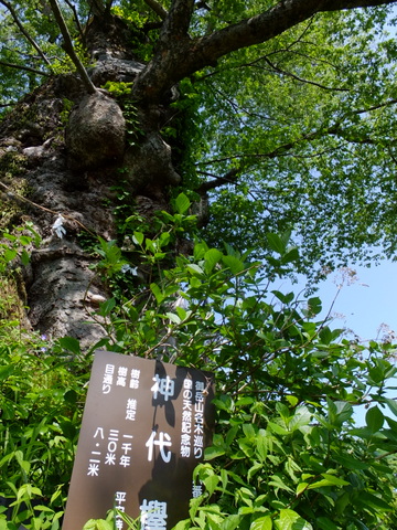 a0043982_549341.jpg