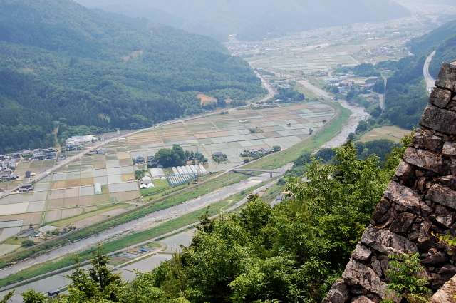 d0179983_19535982.jpg