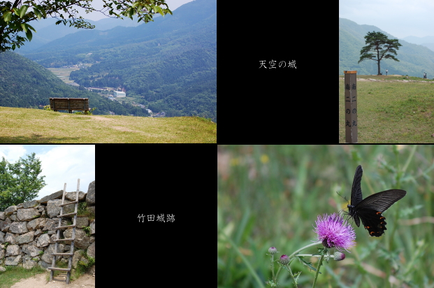 d0179983_19541473.jpg