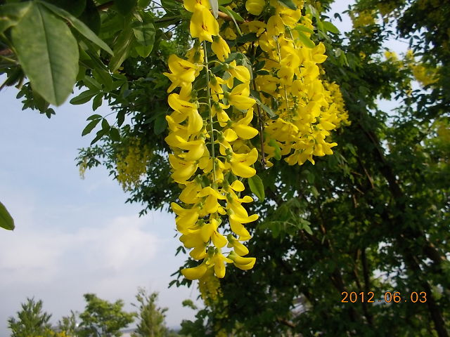 a0007388_17443490.jpg