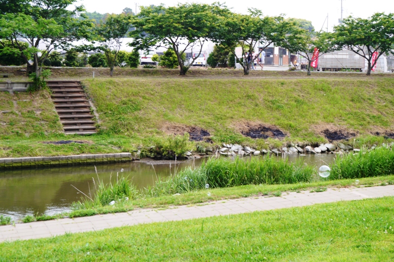 a0127090_1631346.jpg