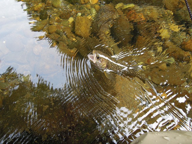 b0233990_2053979.jpg