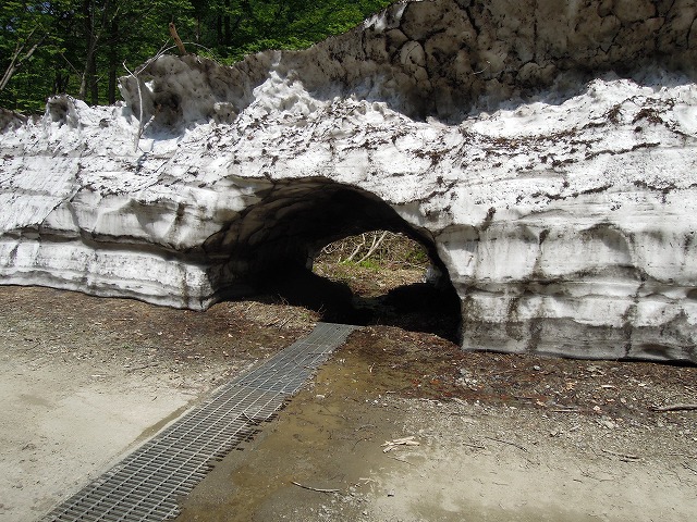 b0233990_2061622.jpg