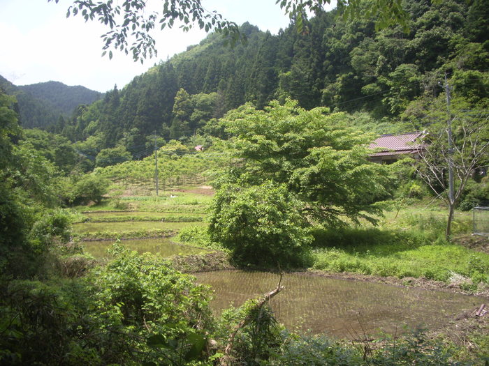 e0185092_21161927.jpg