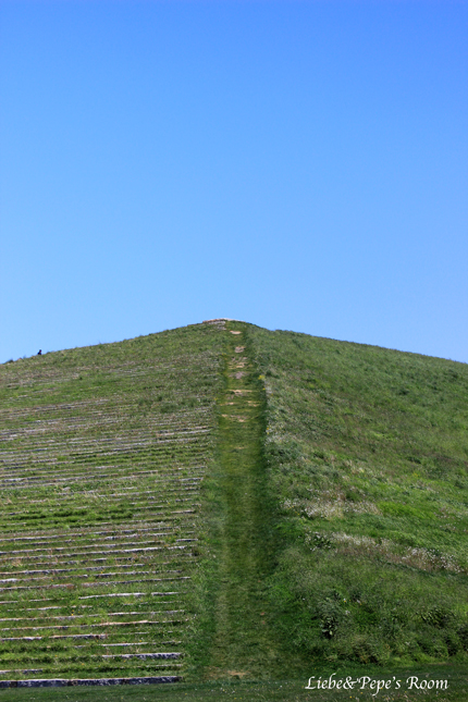 f0001895_1525506.jpg
