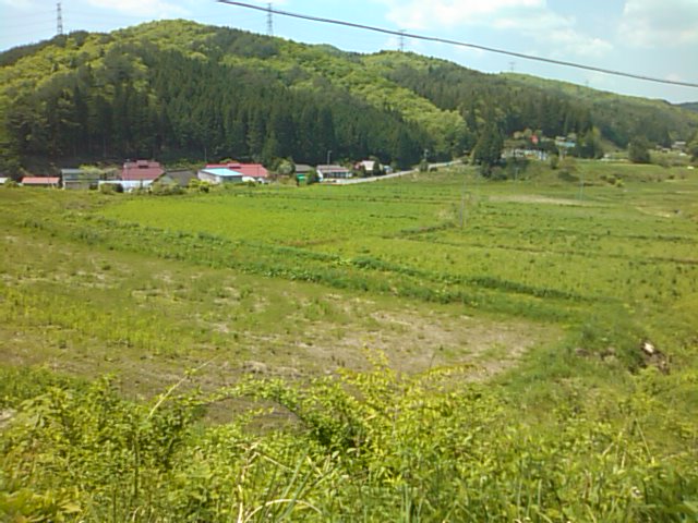 e0068696_19463299.jpg