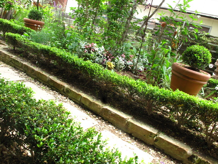 f0178897_1147276.jpg