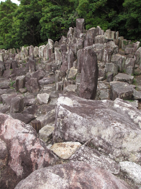 a0193698_1054497.jpg