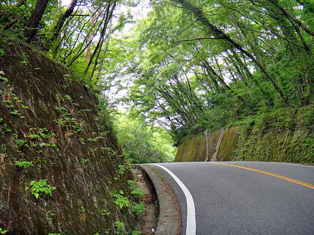 b0108100_21152540.jpg