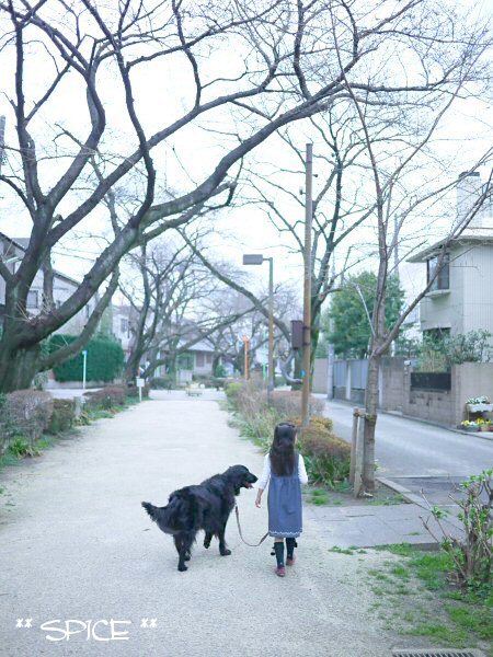 c0050400_1749226.jpg