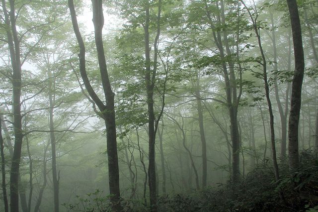 e0137200_22403778.jpg