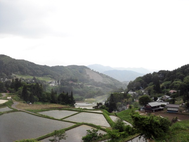 a0121502_1148834.jpg