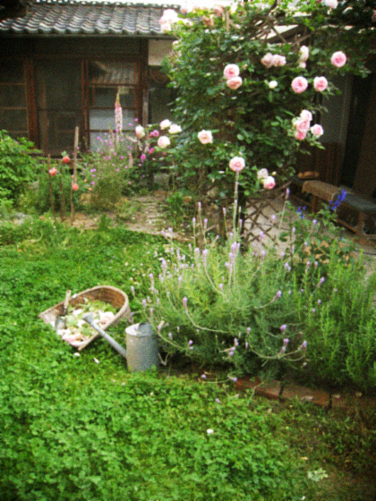 d0077603_11463686.jpg