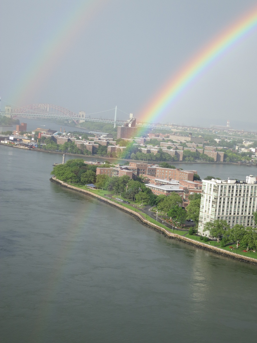 d0135403_7463351.jpg