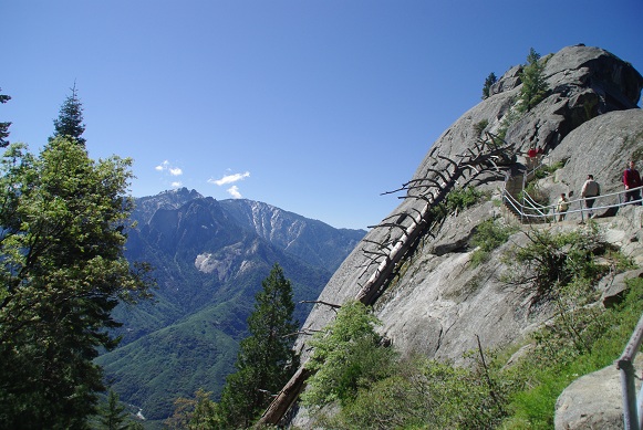 f0038904_7414391.jpg