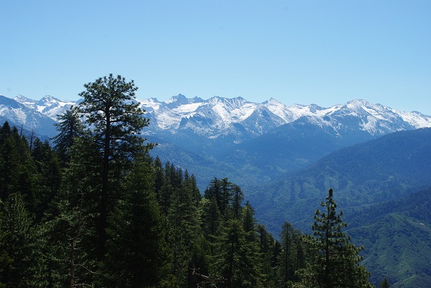 f0038904_742088.jpg