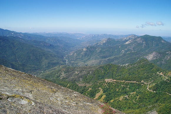 f0038904_7432076.jpg