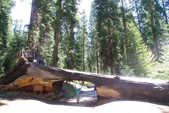 f0038904_7454384.jpg