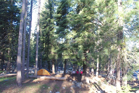 f0038904_924378.jpg