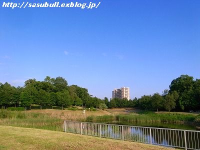 e0145805_19342753.jpg