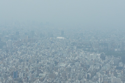 b0112909_20242441.jpg