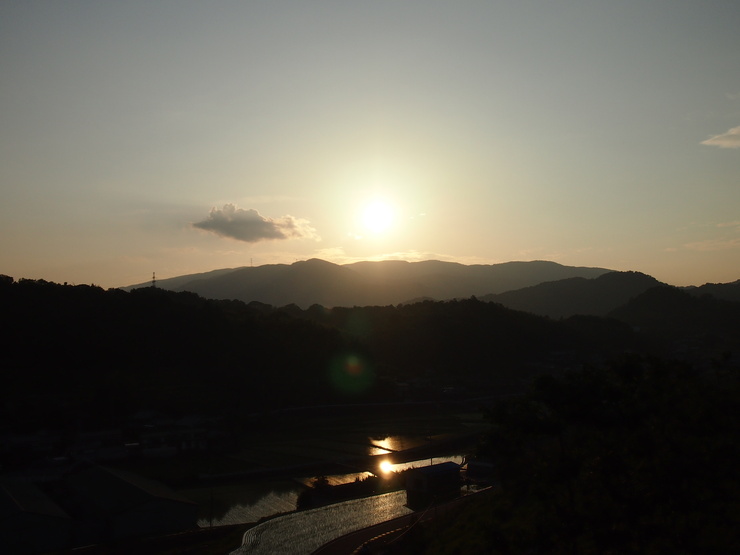 d0081210_650598.jpg