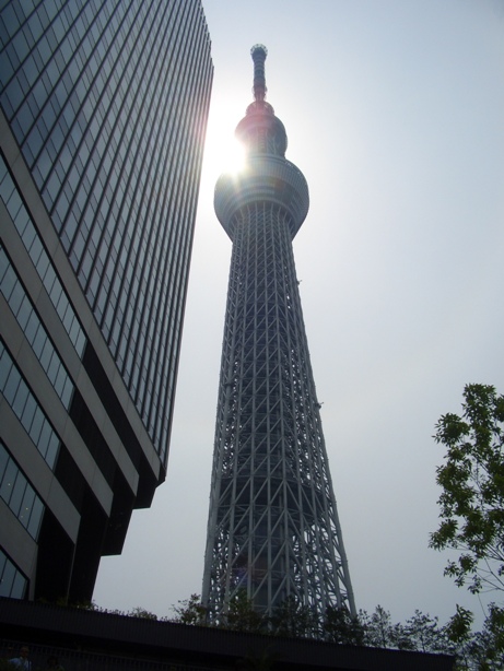 e0033713_8193532.jpg