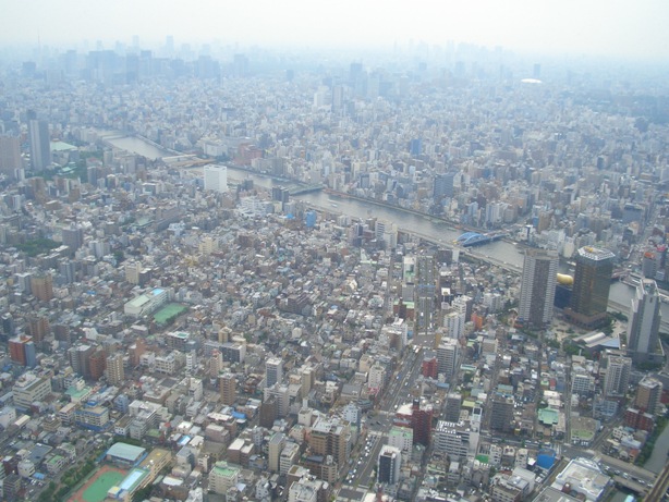 e0033713_8245876.jpg