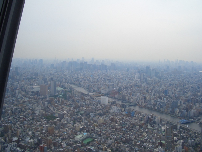 e0033713_8272573.jpg