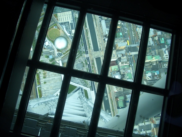 e0033713_8313238.jpg