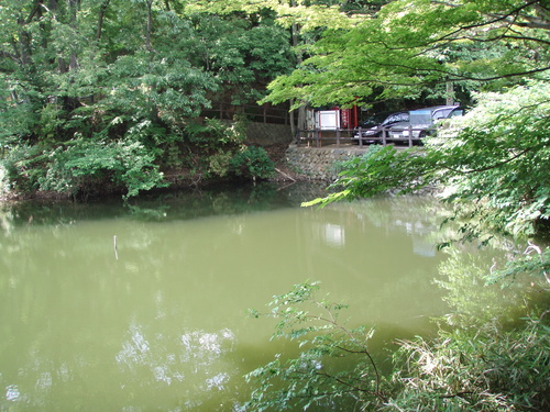 b0121015_19574751.jpg