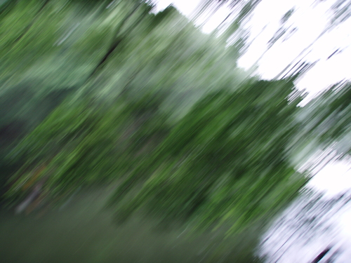 b0121015_19591796.jpg