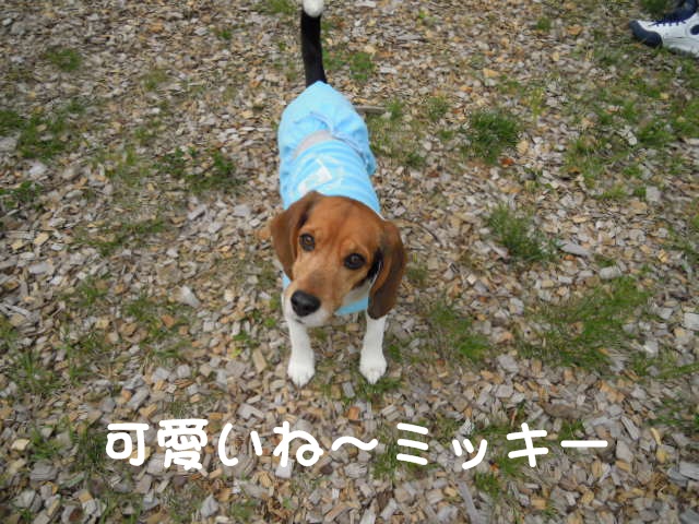 c0166622_15125772.jpg