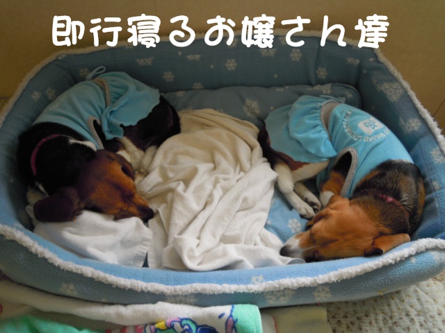 c0166622_15144843.jpg