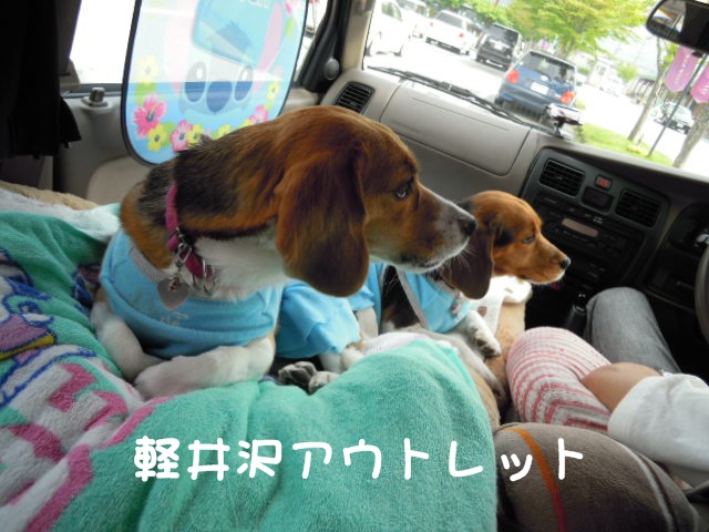 c0166622_1524124.jpg