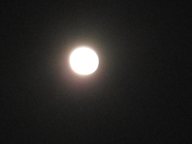 e0191826_2339545.jpg