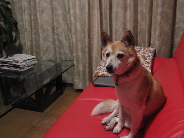 e0191826_2353551.jpg