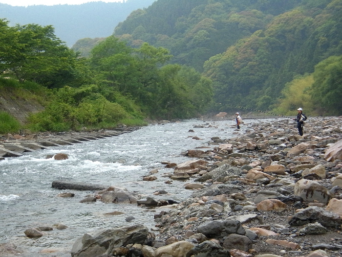 f0103126_20295464.jpg