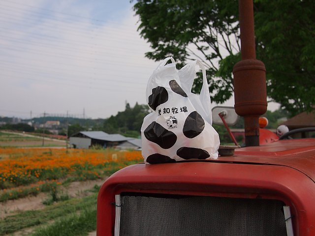 b0134829_20254270.jpg
