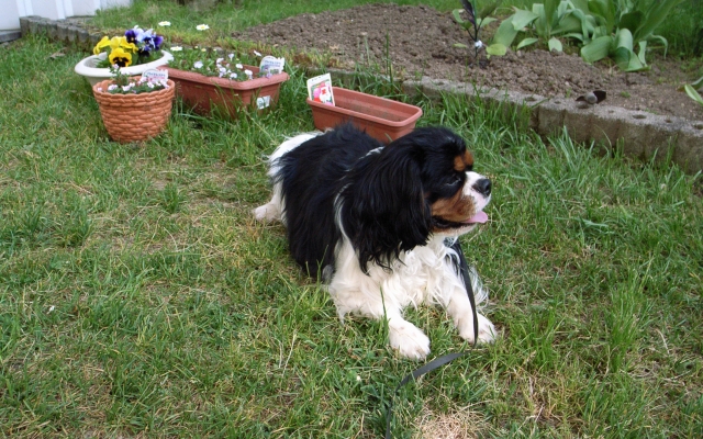 c0051132_21293522.jpg
