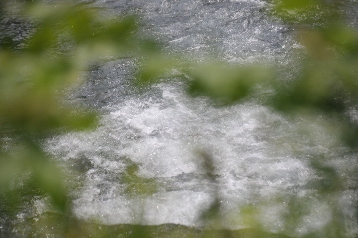 c0133133_13384296.jpg