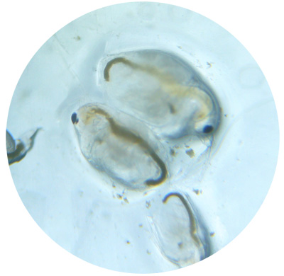 f0032434_16162465.jpg