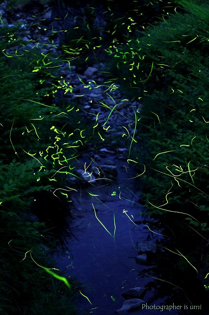 e0083238_22262760.jpg