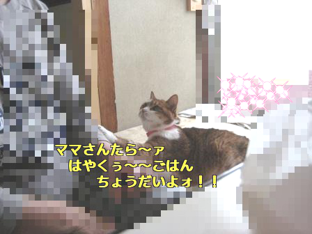 e0255638_1634518.png