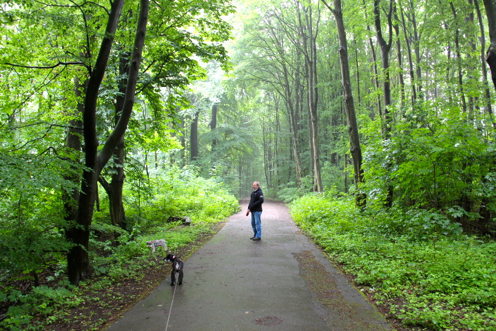 c0153740_1817234.jpg