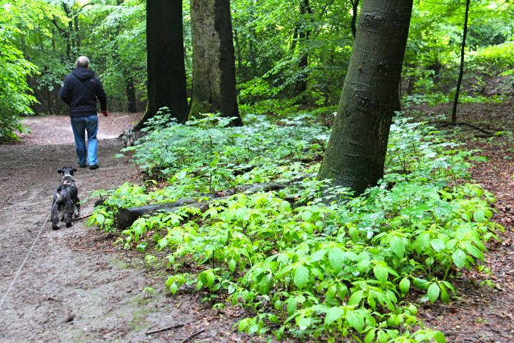 c0153740_18215858.jpg