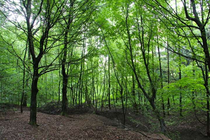 c0153740_1823427.jpg