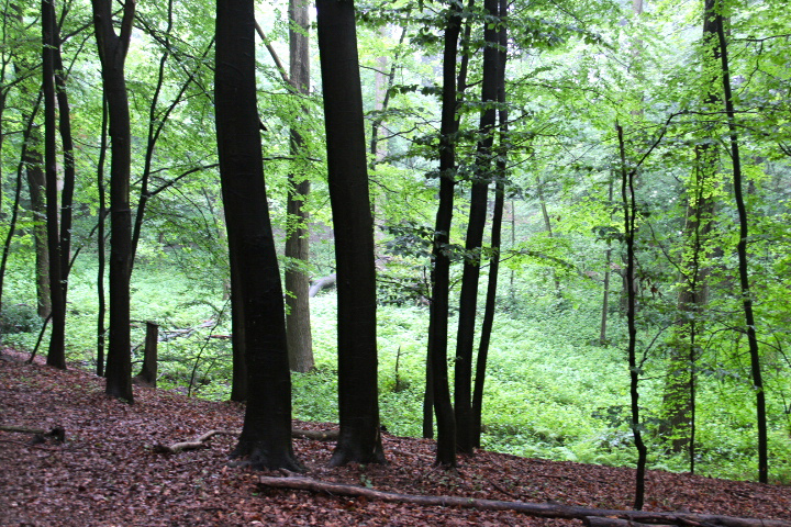 c0153740_18244176.jpg